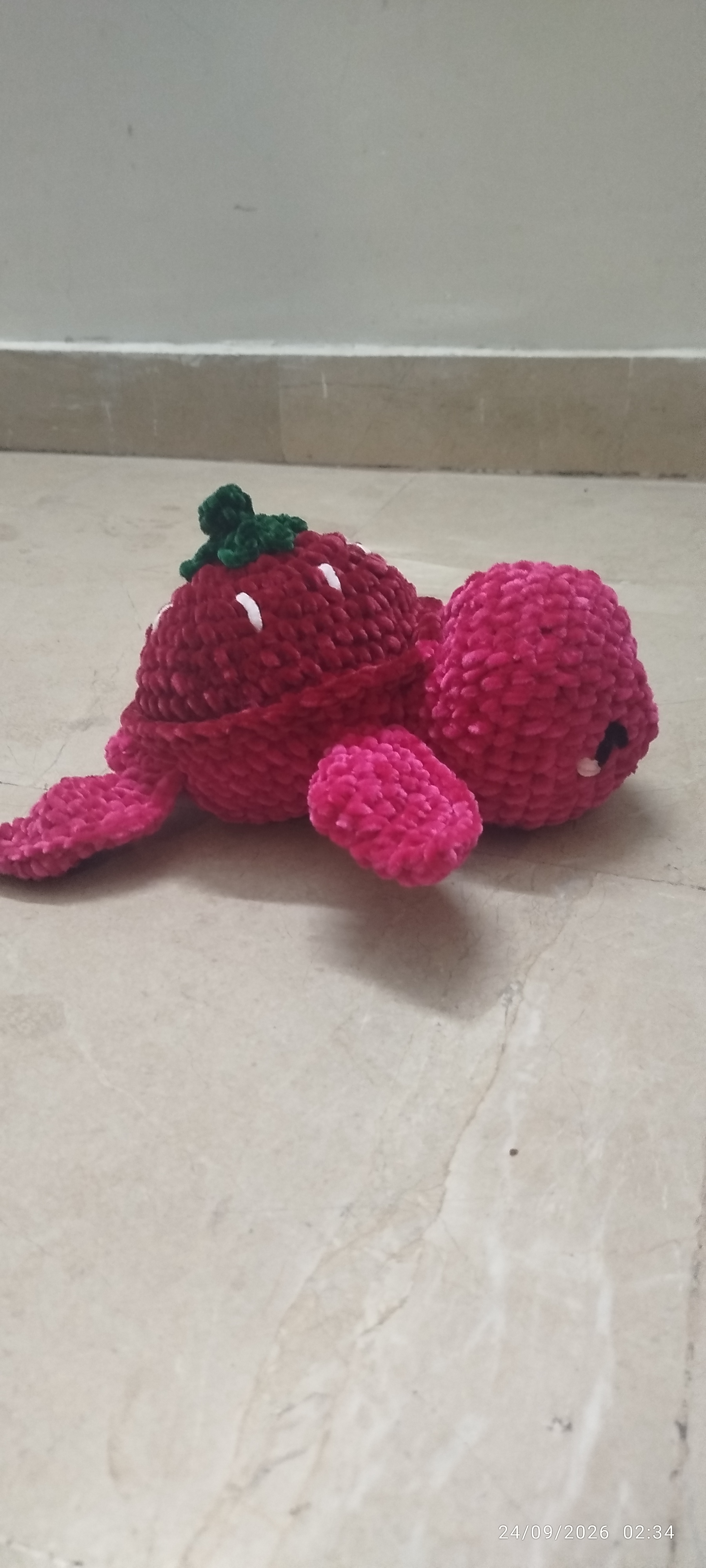Fruit tutle